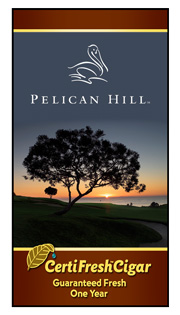 Pelican Hill Resort - California